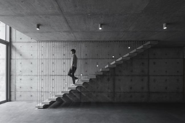 BIM建筑|城市之中的一抹抹绿意：莳植平台和体验馆 / 墨照建筑设计事务所