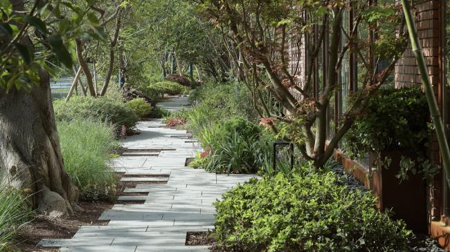 BIM建筑|在记忆与盼望之间：华东师范年夜学丽娃河畔书吧补葺 / 上海日清建筑设计