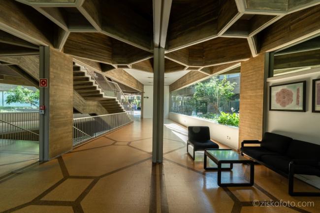 BIM建筑|摄影作品：“荆棘之冠”