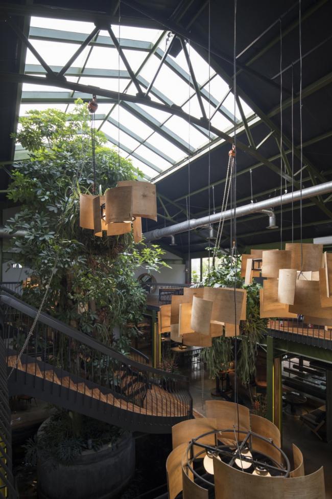 BIM建筑|条条木椽，仿佛从暗黑中涌来：植进天然的漂浮餐厅