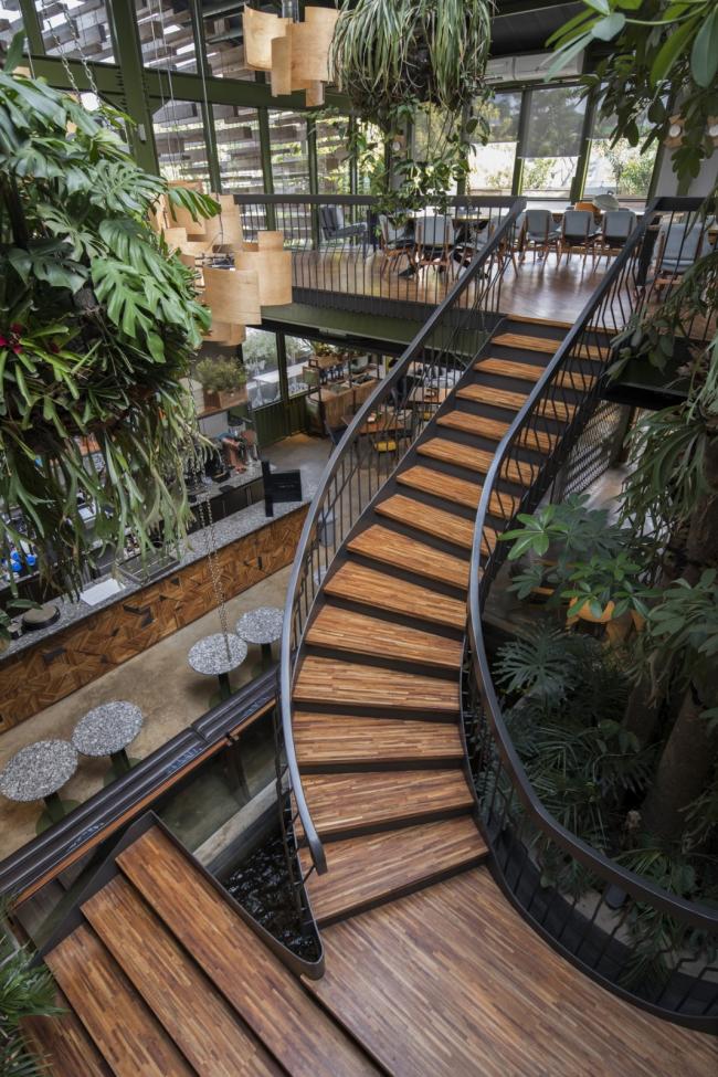 BIM建筑|条条木椽，仿佛从暗黑中涌来：植进天然的漂浮餐厅