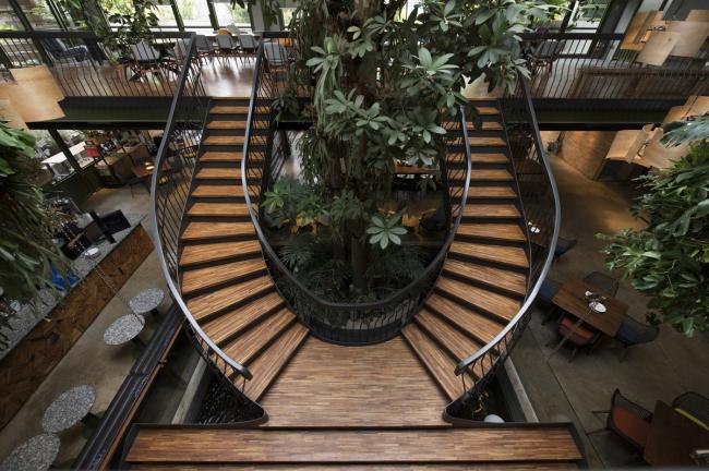 BIM建筑|条条木椽，仿佛从暗黑中涌来：植进天然的漂浮餐厅