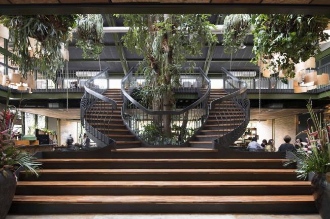 BIM建筑|条条木椽，仿佛从暗黑中涌来：植进天然的漂浮餐厅