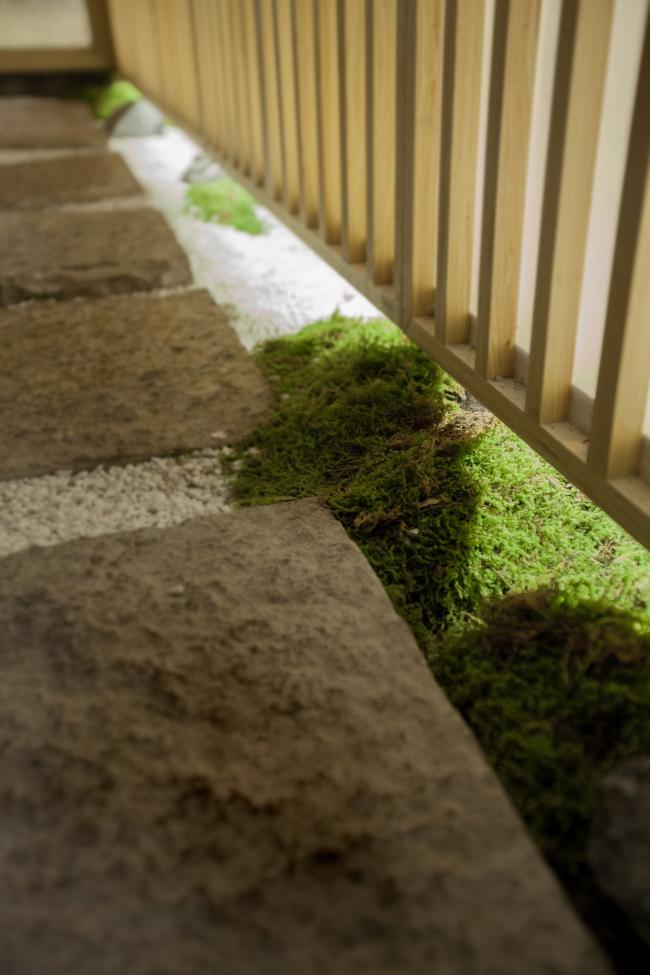 BIM建筑|天边夏月，鳗享屋／卧野空间事务所