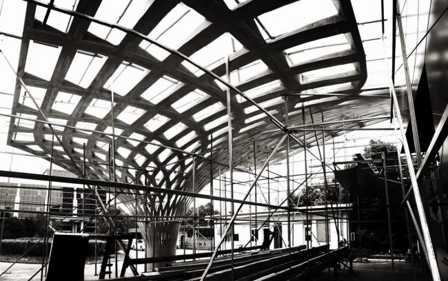 BIM建筑|金色白桦林涌起的连绵的海浪：呼伦贝尔海拉尔机场扩建工程 / 中国建筑设计院一合建筑设计研讨中间U10