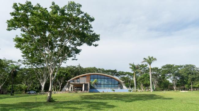 BIM建筑|如羽翼般轻轻睁开，护一方阴凉：年夜屋盖室第