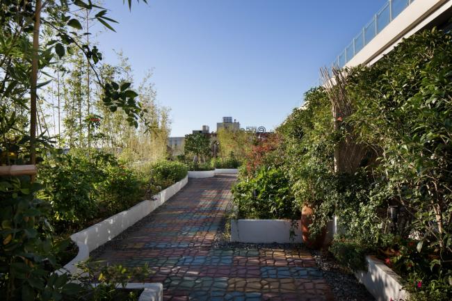 BIM建筑|游牧风治愈系：幔麓酒店·杨蜜斯的花圃 / 上海末贝建筑装潢设计有限公司