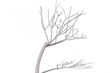 Sketchup素材模型|3D枯树，树枝，植物树-BIM建筑网