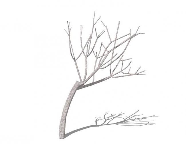 Sketchup素材模型|3D枯树，树枝，植物树