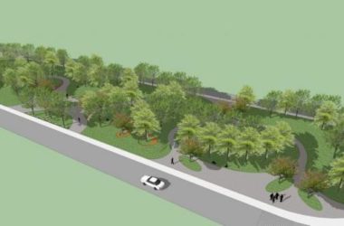 Sketchup景观模型|2D树，公园景观，景观树-BIM建筑网