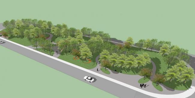 Sketchup景观模型|2D树，公园景观，景观树