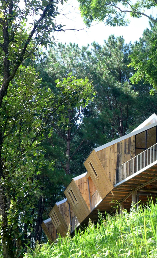 BIM建筑|阔别喧哗，隐于茂林山谷的寄宿行政办公室