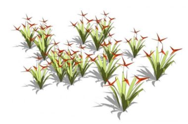 Sketchup素材模型|地被植物，灌木花草，景观素材组件-BIM建筑网