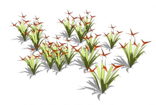Sketchup素材模型|地被植物，灌木花草，景观素材组件