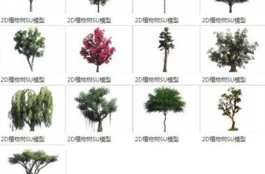 Sketchup素材模型|2D植物树，景观素材组件-BIM建筑网