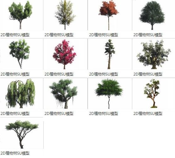 Sketchup素材模型|2D植物树，景观素材组件