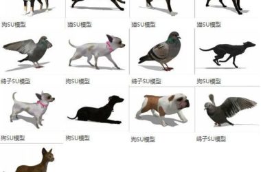 Sketchup素材模型|动物，猫狗，鸽子，模型素材组件-BIM建筑网