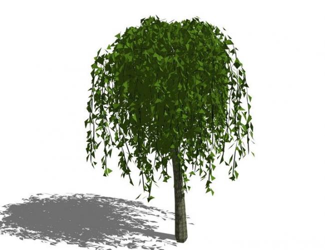 Sketchup素材模型|植物树，景观素材组件