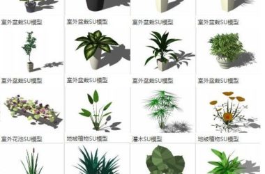 Sketchup素材模型|室外盆栽盆景花池，地被植物灌木，景观素材组件-BIM建筑网