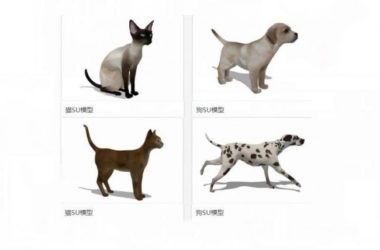 Sketchup素材模型|猫狗，动物，素材组件模型-BIM建筑网