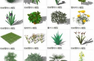 Sketchup素材模型|地被植物，灌木，树，景观素材组件-BIM建筑网