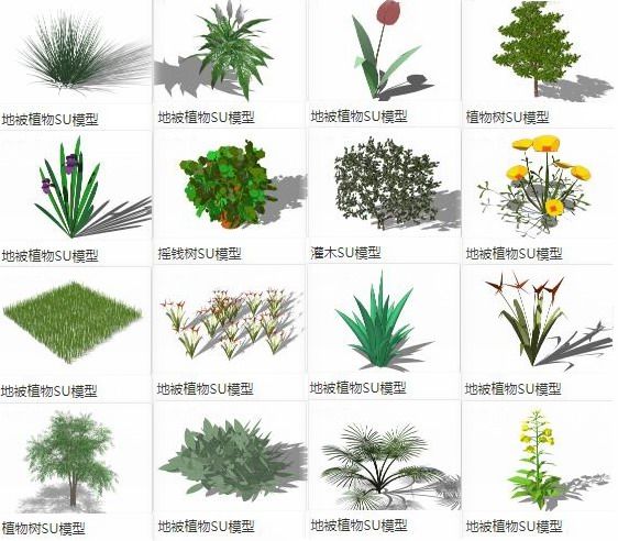 Sketchup素材模型|地被植物，灌木，树，景观素材组件