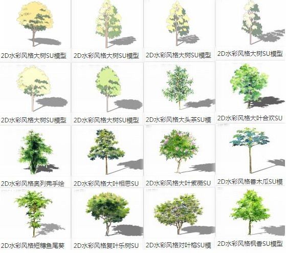 Sketchup素材模型|2D水彩风格植物树，景观素材组件