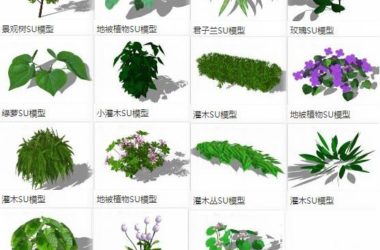 Sketchup素材模型|地被植物，树，灌木，景观素材组件-BIM建筑网