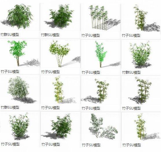 Sketchup素材模型|竹子竹叶竹枝竹群，植物景观素材组件