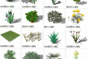 Sketchup素材模型|地被植物，树，景观素材组件-BIM建筑网