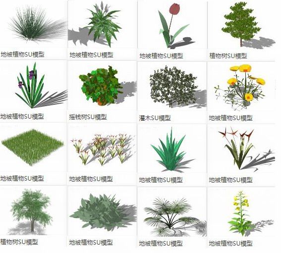 Sketchup素材模型|地被植物，树，景观素材组件