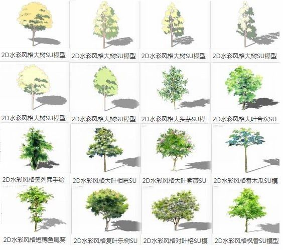 Sketchup素材模型|2D水彩风格树，景观植物，现代风格，素材组件