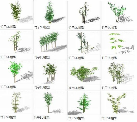Sketchup素材模型|竹子竹叶竹枝竹群，植物景观素材组件