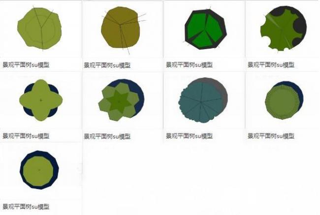 Sketchup素材模型|平面树，景观植物素材组件