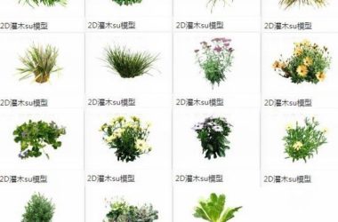 Sketchup素材模型|2d植物灌木，景观素材组件-BIM建筑网