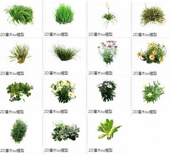 Sketchup素材模型|2d植物灌木，景观素材组件