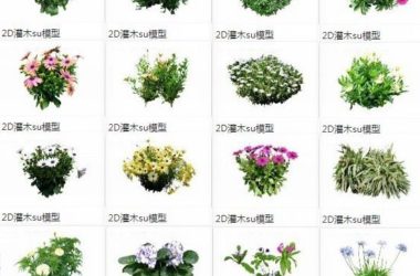 Sketchup素材模型|灌木，2d植物，景观素材组件-BIM建筑网