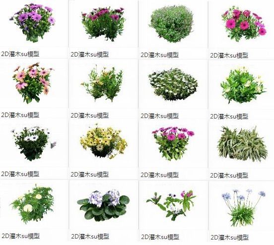 Sketchup素材模型|灌木，2d植物，景观素材组件