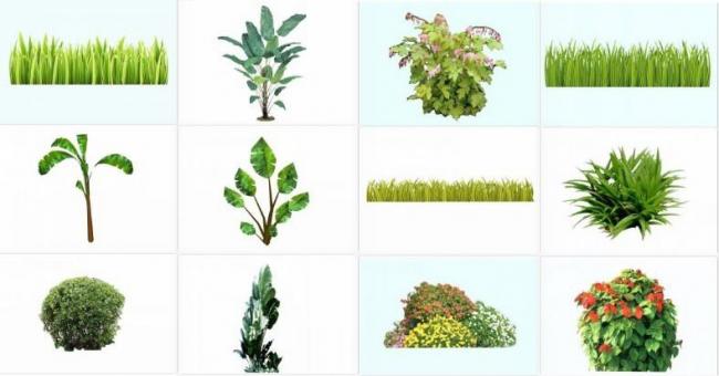 Sketchup素材模型|2d灌木地被大叶植物，草团，大树，芭蕉树，景观素材组件