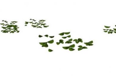 Sketchup素材模型|小片落叶景观素材组件-BIM建筑网