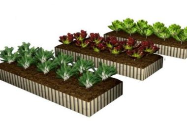 Sketchup素材模型|菜池花池景观素材组件-BIM建筑网