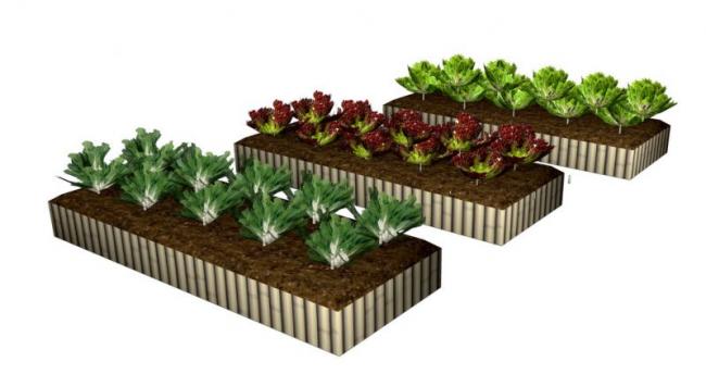 Sketchup素材模型|菜池花池景观素材组件