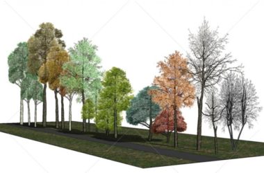 Sketchup素材模型|经典写实2D植物素材组件-BIM建筑网