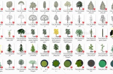 Sketchup素材模型|景观植物模型素材组件-BIM建筑网