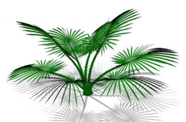 Sketchup素材模型|3D植物树SU模型素材组件-BIM建筑网