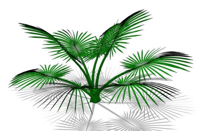 Sketchup素材模型|3D植物树SU模型素材组件