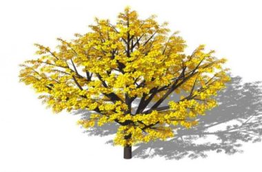 Sketchup素材模型|3D植物树SU模型素材组件-BIM建筑网