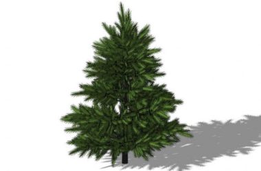 Sketchup素材模型|3D植物树SU模型素材组件-BIM建筑网