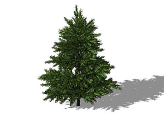 Sketchup素材模型|3D植物树SU模型素材组件