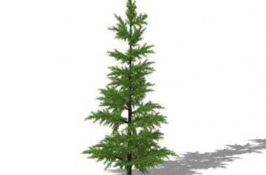 Sketchup素材模型|3D植物树SU模型素材组件-BIM建筑网